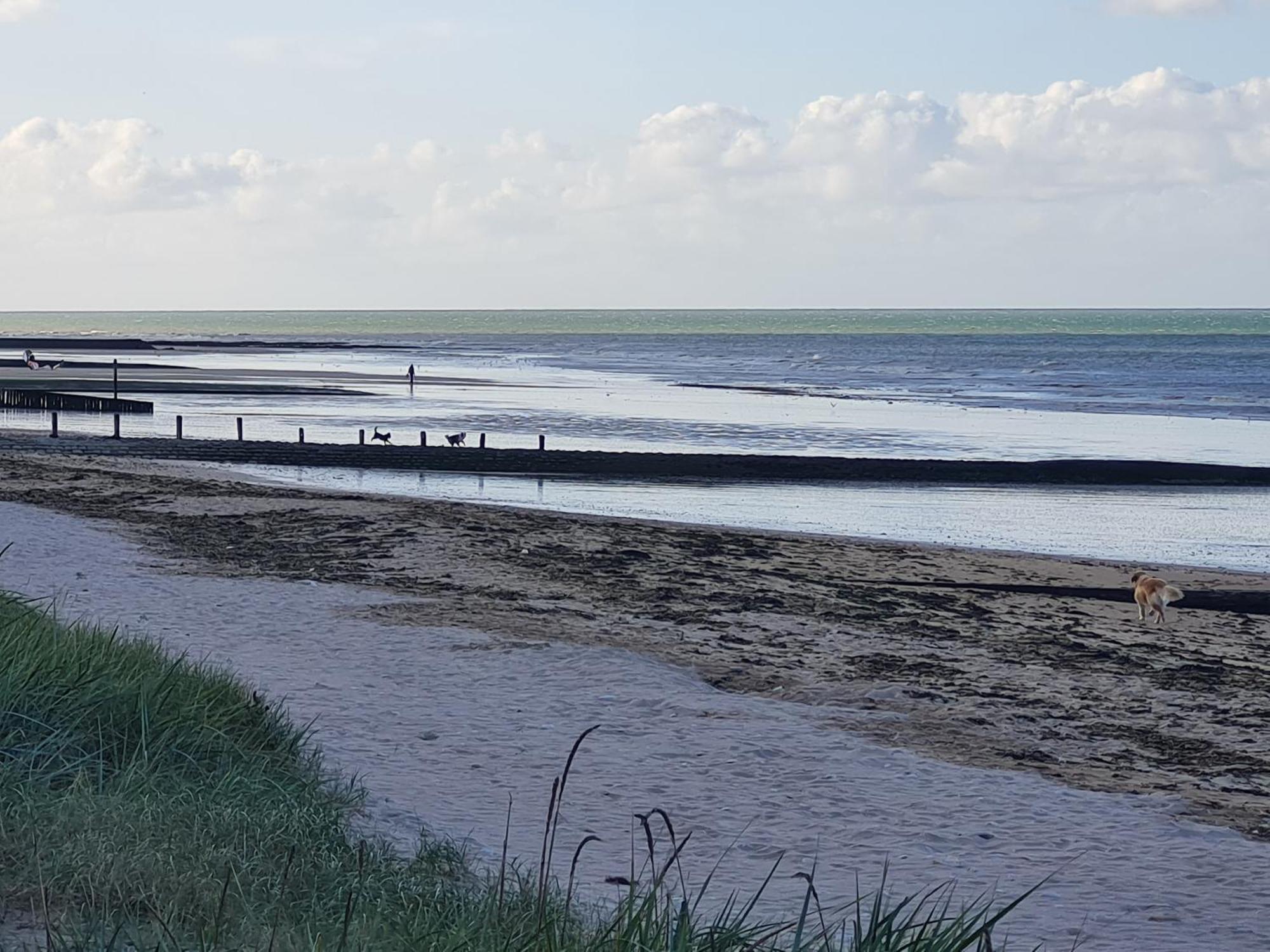 Les Pieds Dans L'Eau - Acces Direct A La Plage Bernières-sur-Mer Exteriér fotografie